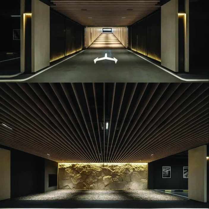 Basement Parking